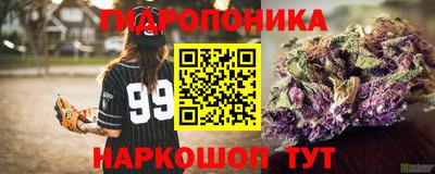 ПСИЛОЦИБИНОВЫЕ ГРИБЫ Балахна